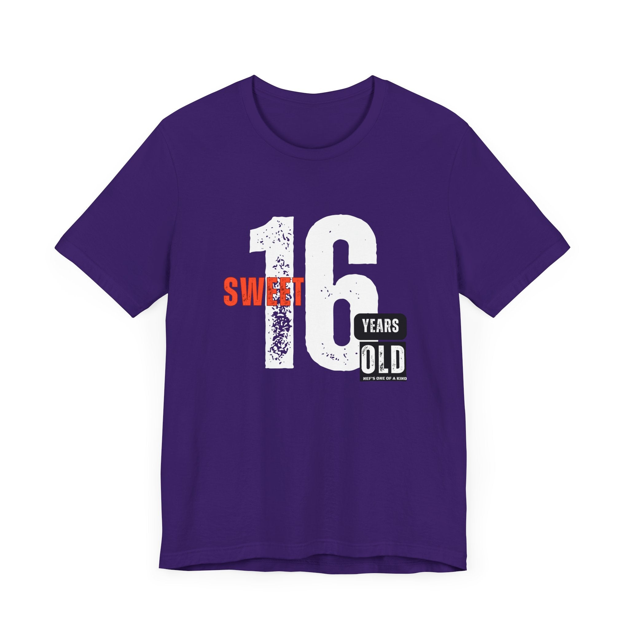 16year Old Unisex Adult Tee